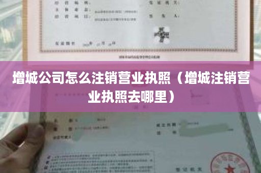 增城公司怎么注销营业执照（增城注销营业执照去哪里）