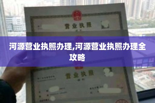 河源营业执照办理,河源营业执照办理全攻略