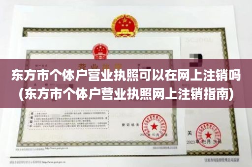 东方市个体户营业执照可以在网上注销吗(东方市个体户营业执照网上注销指南)