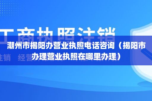 潮州市揭阳办营业执照电话咨询（揭阳市办理营业执照在哪里办理）