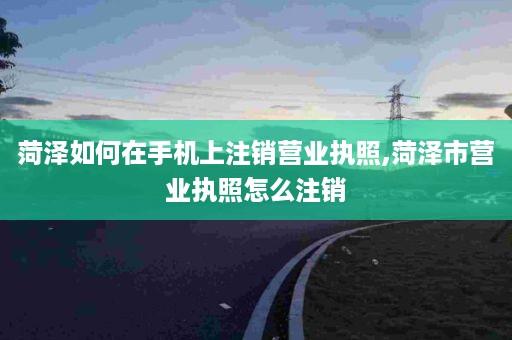 菏泽如何在手机上注销营业执照,菏泽市营业执照怎么注销