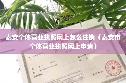 泰安个体营业执照网上怎么注销（泰安市个体营业执照网上申请）