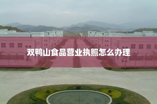 双鸭山食品营业执照怎么办理