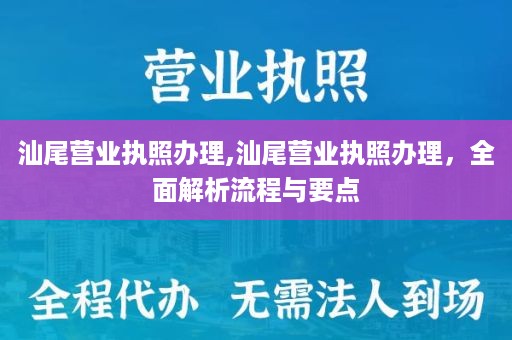 汕尾营业执照办理,汕尾营业执照办理，全面解析流程与要点