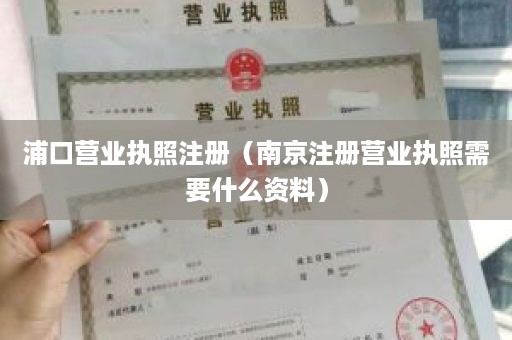 浦口营业执照注册（南京注册营业执照需要什么资料）