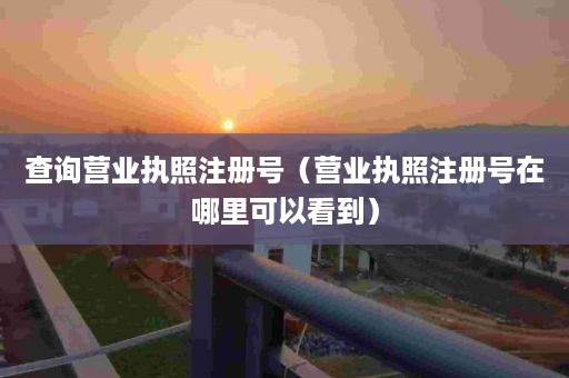 查询营业执照注册号（营业执照注册号在哪里可以看到）