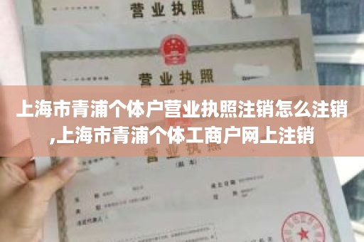 上海市青浦个体户营业执照注销怎么注销,上海市青浦个体工商户网上注销