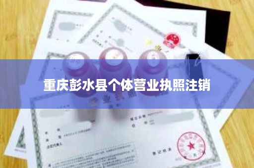 重庆彭水县个体营业执照注销