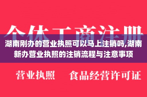 湖南刚办的营业执照可以马上注销吗,湖南新办营业执照的注销流程与注意事项