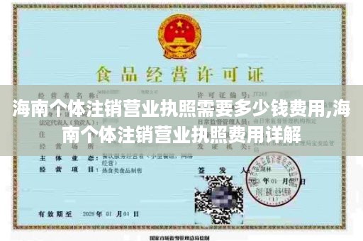海南个体注销营业执照需要多少钱费用,海南个体注销营业执照费用详解