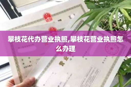 攀枝花代办营业执照,攀枝花营业执照怎么办理