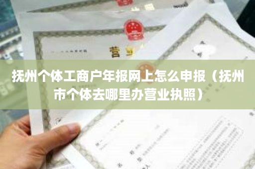 抚州个体工商户年报网上怎么申报（抚州市个体去哪里办营业执照）