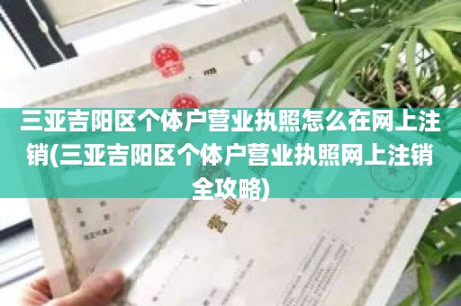 三亚吉阳区个体户营业执照怎么在网上注销(三亚吉阳区个体户营业执照网上注销全攻略)