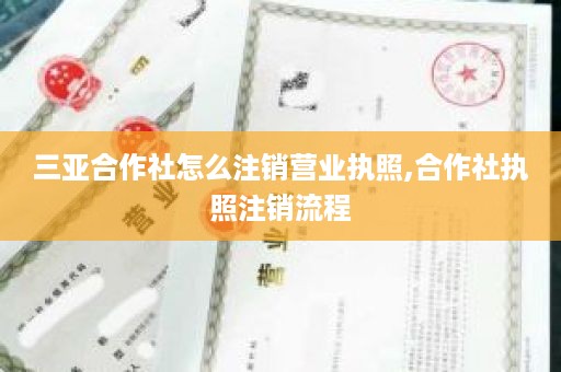 三亚合作社怎么注销营业执照,合作社执照注销流程