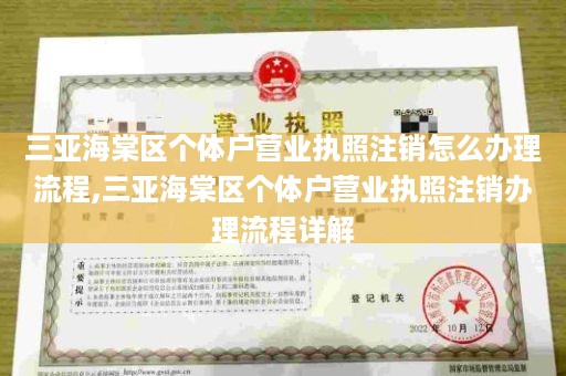 三亚海棠区个体户营业执照注销怎么办理流程,三亚海棠区个体户营业执照注销办理流程详解