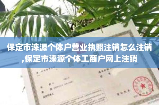 保定市涞源个体户营业执照注销怎么注销,保定市涞源个体工商户网上注销