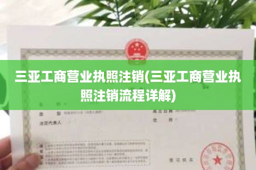 三亚工商营业执照注销(三亚工商营业执照注销流程详解)