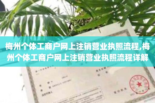 梅州个体工商户网上注销营业执照流程,梅州个体工商户网上注销营业执照流程详解