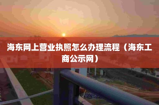 海东网上营业执照怎么办理流程（海东工商公示网）