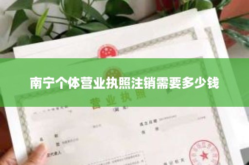 南宁个体营业执照注销需要多少钱