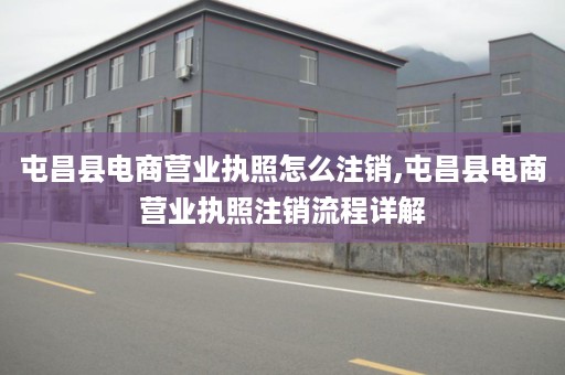 屯昌县电商营业执照怎么注销,屯昌县电商营业执照注销流程详解