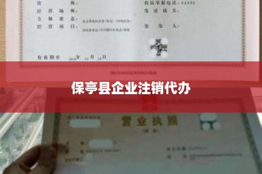 保亭县企业注销代办