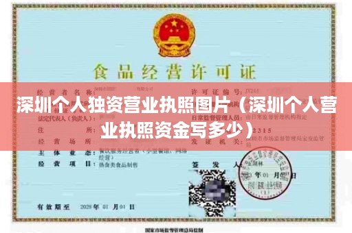 深圳个人独资营业执照图片（深圳个人营业执照资金写多少）