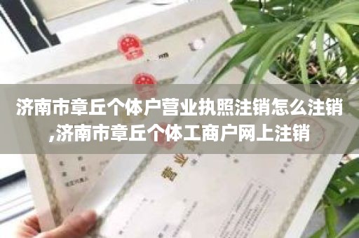 济南市章丘个体户营业执照注销怎么注销,济南市章丘个体工商户网上注销