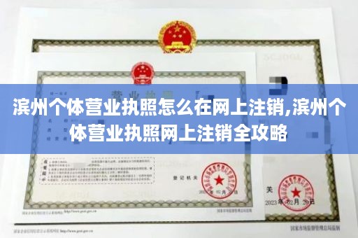 滨州个体营业执照怎么在网上注销,滨州个体营业执照网上注销全攻略