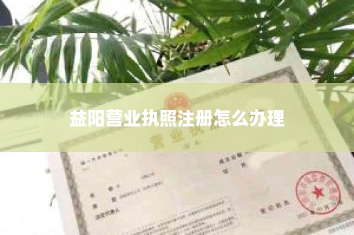益阳营业执照注册怎么办理