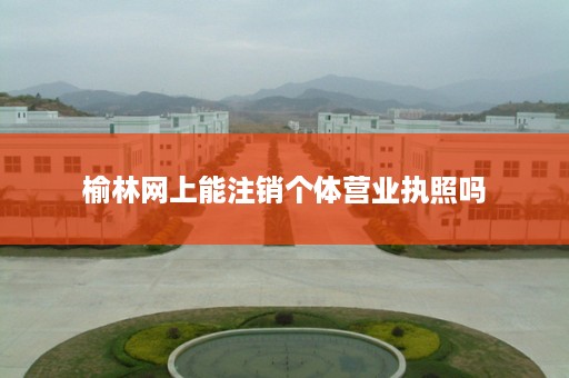 榆林网上能注销个体营业执照吗