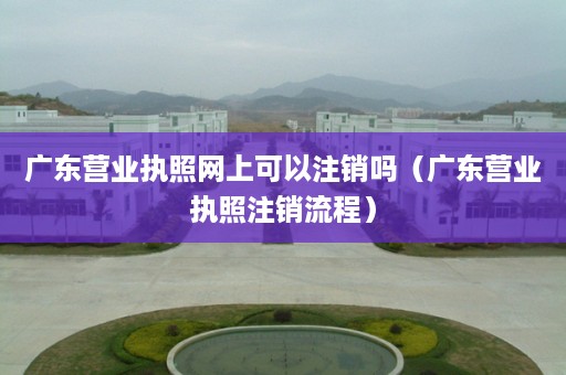 广东营业执照网上可以注销吗（广东营业执照注销流程）