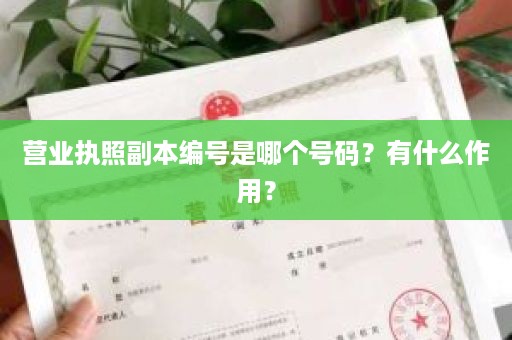 营业执照副本编号是哪个号码？有什么作用？