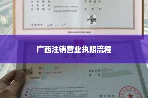 广西注销营业执照流程
