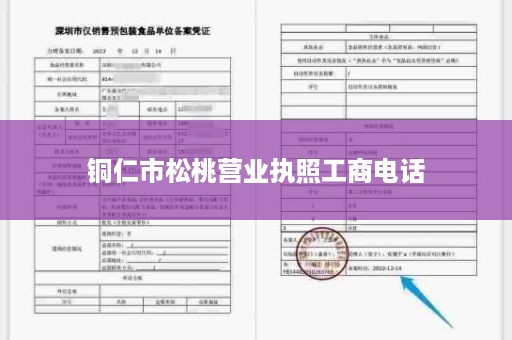 铜仁市松桃营业执照工商电话