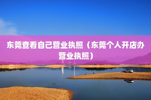 东莞查看自己营业执照（东莞个人开店办营业执照）