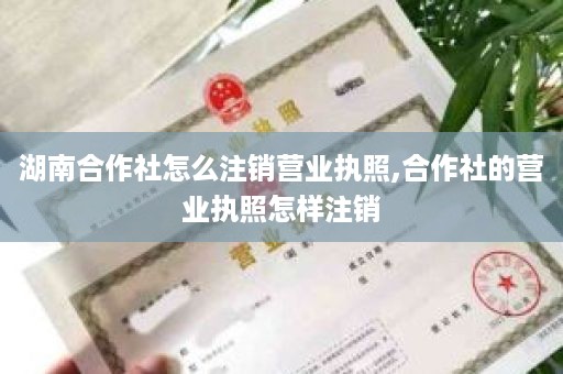 湖南合作社怎么注销营业执照,合作社的营业执照怎样注销