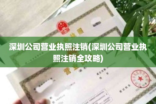 深圳公司营业执照注销(深圳公司营业执照注销全攻略)