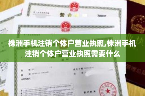 株洲手机注销个体户营业执照,株洲手机注销个体户营业执照需要什么