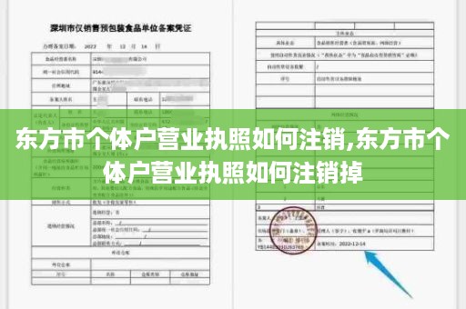 东方市个体户营业执照如何注销,东方市个体户营业执照如何注销掉
