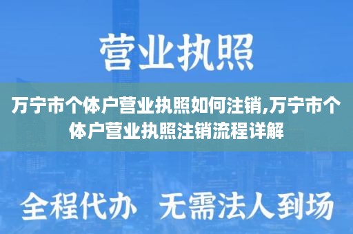 万宁市个体户营业执照如何注销,万宁市个体户营业执照注销流程详解