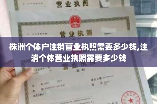 株洲个体户注销营业执照需要多少钱,注消个体营业执照需要多少钱