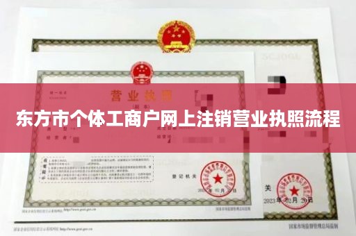 东方市个体工商户网上注销营业执照流程