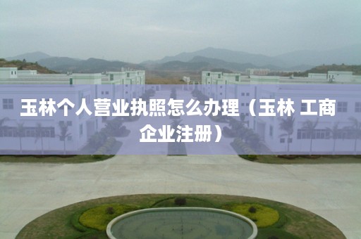 玉林个人营业执照怎么办理（玉林 工商 企业注册）