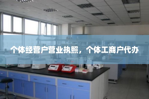 个体经营户营业执照，个体工商户代办