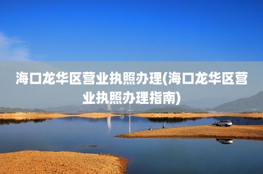 海口龙华区营业执照办理(海口龙华区营业执照办理指南)