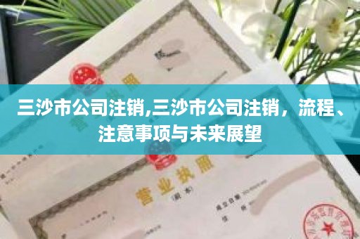 三沙市公司注销,三沙市公司注销，流程、注意事项与未来展望