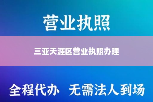 三亚天涯区营业执照办理