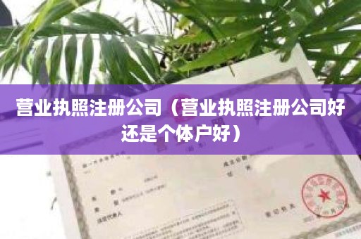 营业执照注册公司（营业执照注册公司好还是个体户好）