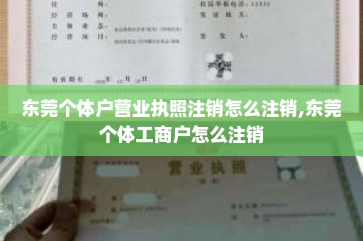 东莞个体户营业执照注销怎么注销,东莞个体工商户怎么注销